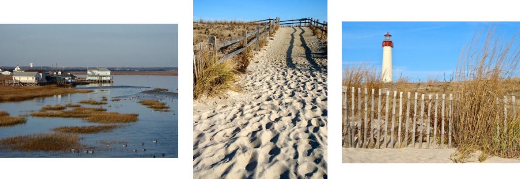 Rehoboth Beach Waterscapes